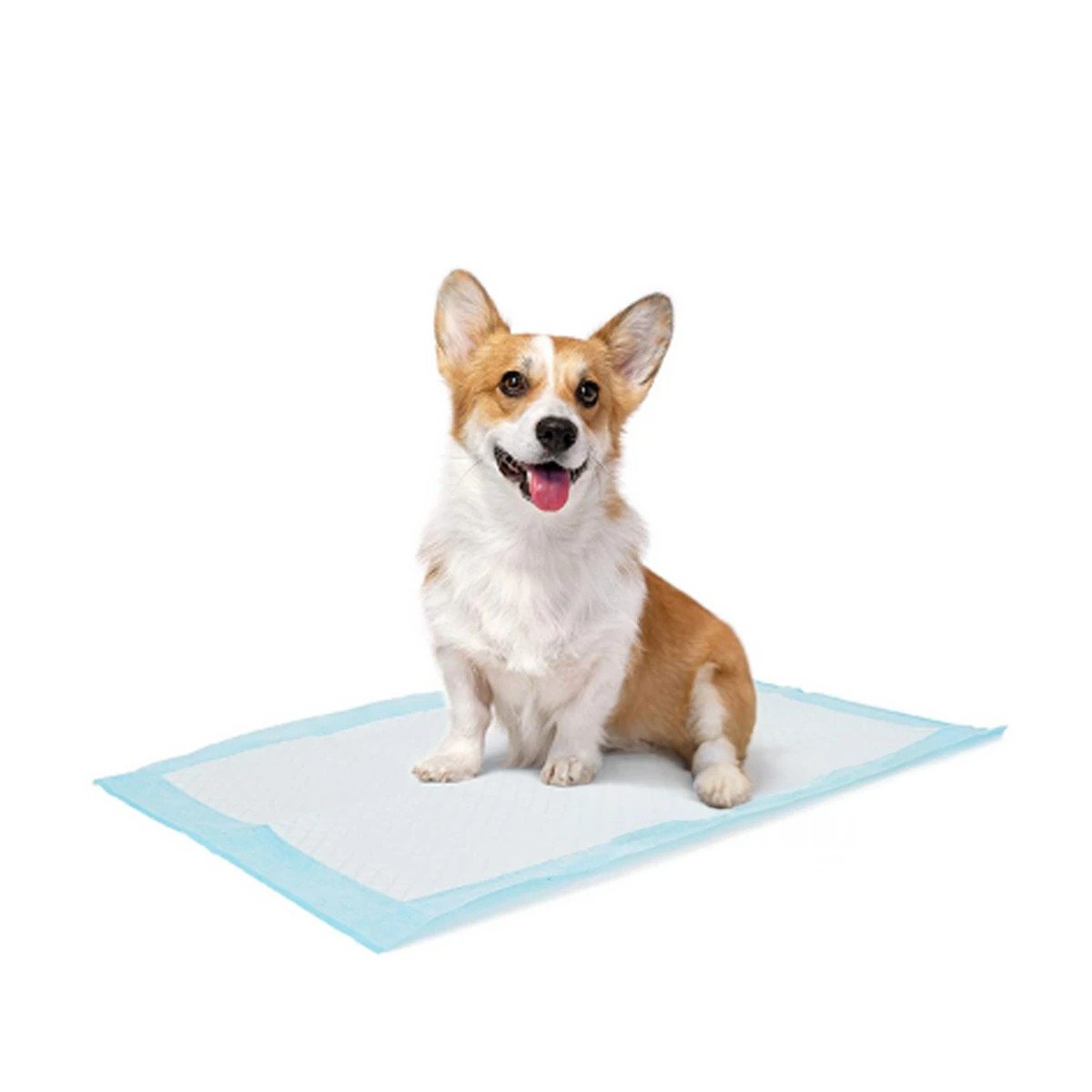 PACK6 PROTECTOR PARA PERROS 45X60 TALLA M COLOCACION EN PISO DEL HOGAR DIARIO Y+REGALO STICKER - 2