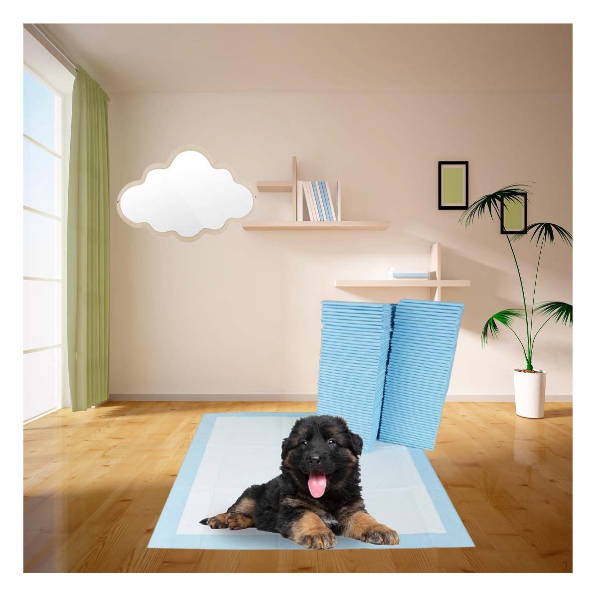 PACK6 PROTECTOR PARA PERROS 45X60 TALLA M COLOCACION EN PISO DEL HOGAR DIARIO Y+REGALO STICKER - 3