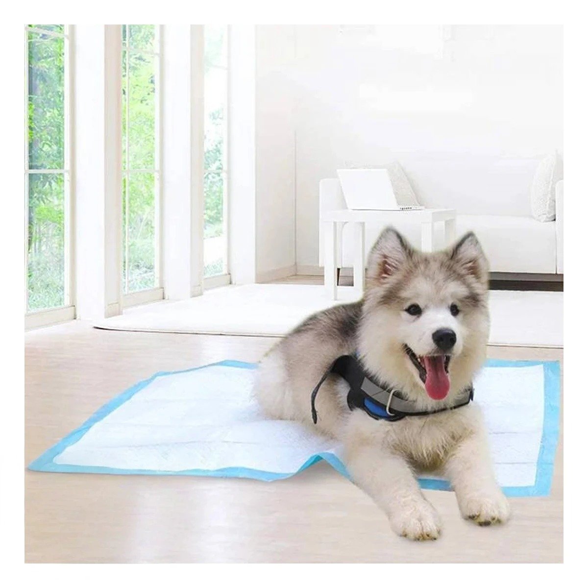 PACK6 PROTECTOR PARA PERROS 45X60 TALLA M COLOCACION EN PISO DEL HOGAR DIARIO Y+REGALO STICKER - 5