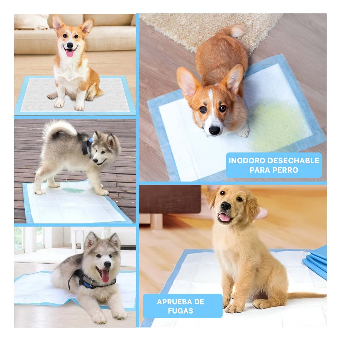 PACK6 ABSORBENTE PARA MASCOTAS 45X60 TALLA M USO EN PISO INTERIOR HOGAR Y+PAPEL REGALO - 3