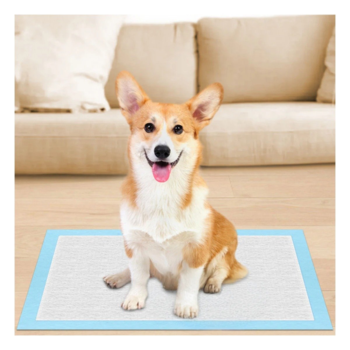 PACK6 ABSORBENTE PARA MASCOTAS 45X60 TALLA M USO EN PISO INTERIOR HOGAR Y+PAPEL REGALO - 5