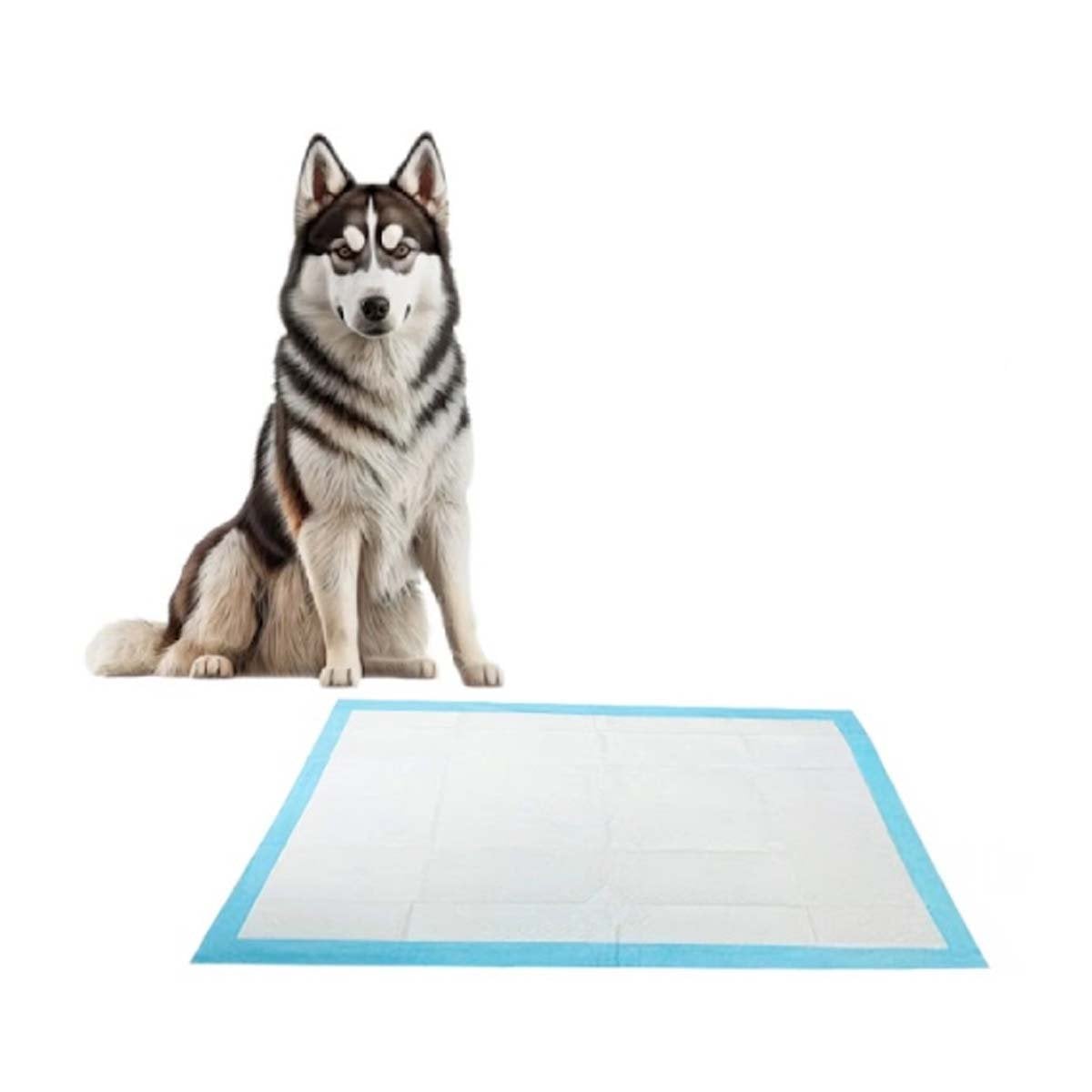 PACK6 PROTECTOR PARA PERROS 60X60 TALLA L CELESTE USO DIARIO EN CASA Y+REGALO STICKER - 2