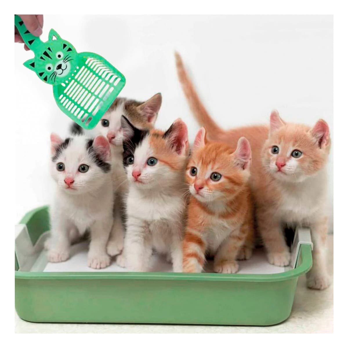 PACK12 ESPATULA CARA DE GATO VERDE PARA JARDIN Y DECORACION HOGAR CASA - 3
