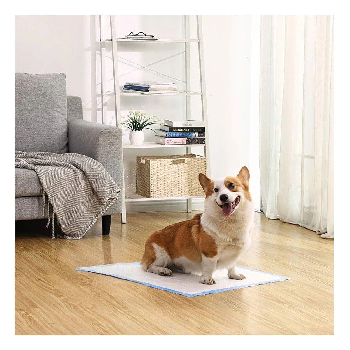 PACK2 ALTERNATIVA DE PISO 60X60 TALLA L CELESTE PARA MASCOTAS USO DIARIO EN CASA - 2