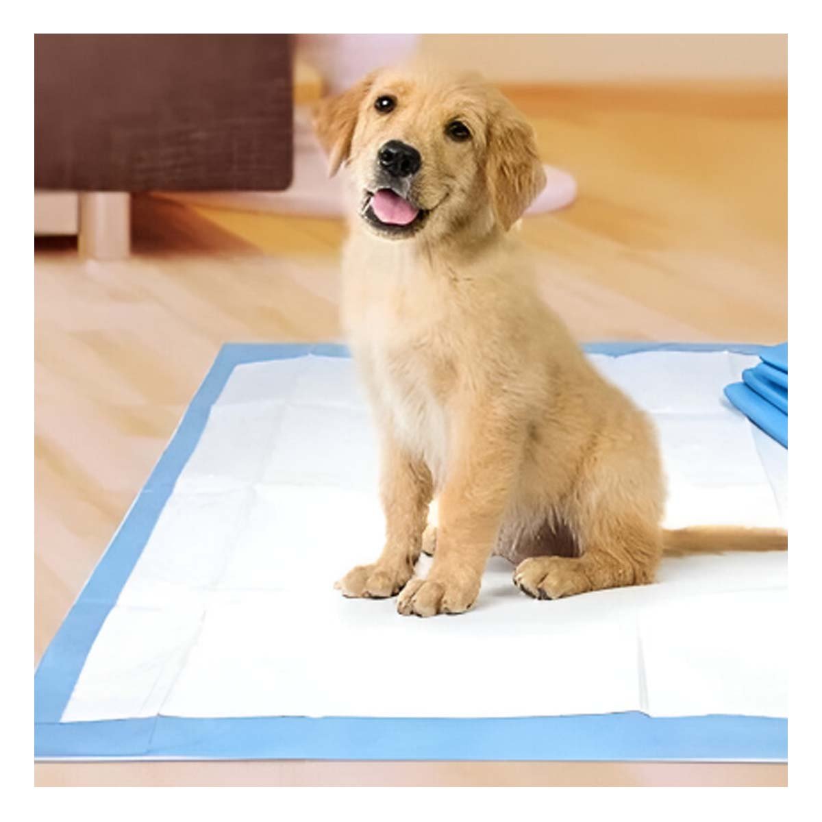 PACK2 ALTERNATIVA DE PISO 45X60 TALLA M PARA MASCOTAS HOGAR INTERIOR DIARIO - 5