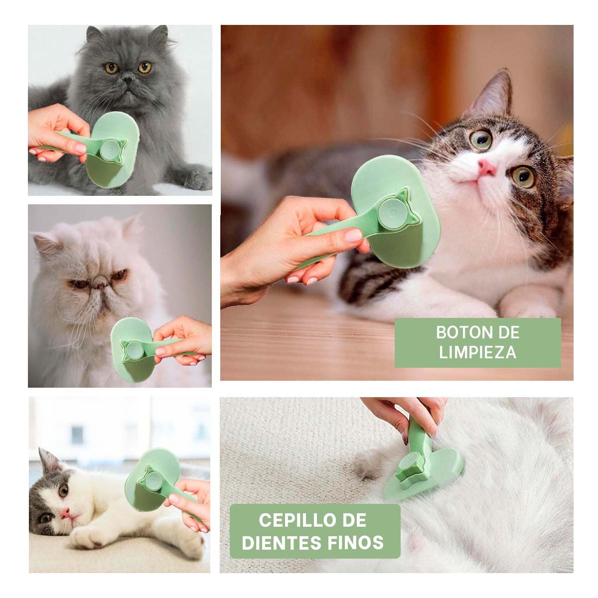 PACK6 DISPOSITIVO QUE FACILITA LIMPIEZA DIARIA VERDE Y+PAPEL REGALO - 3