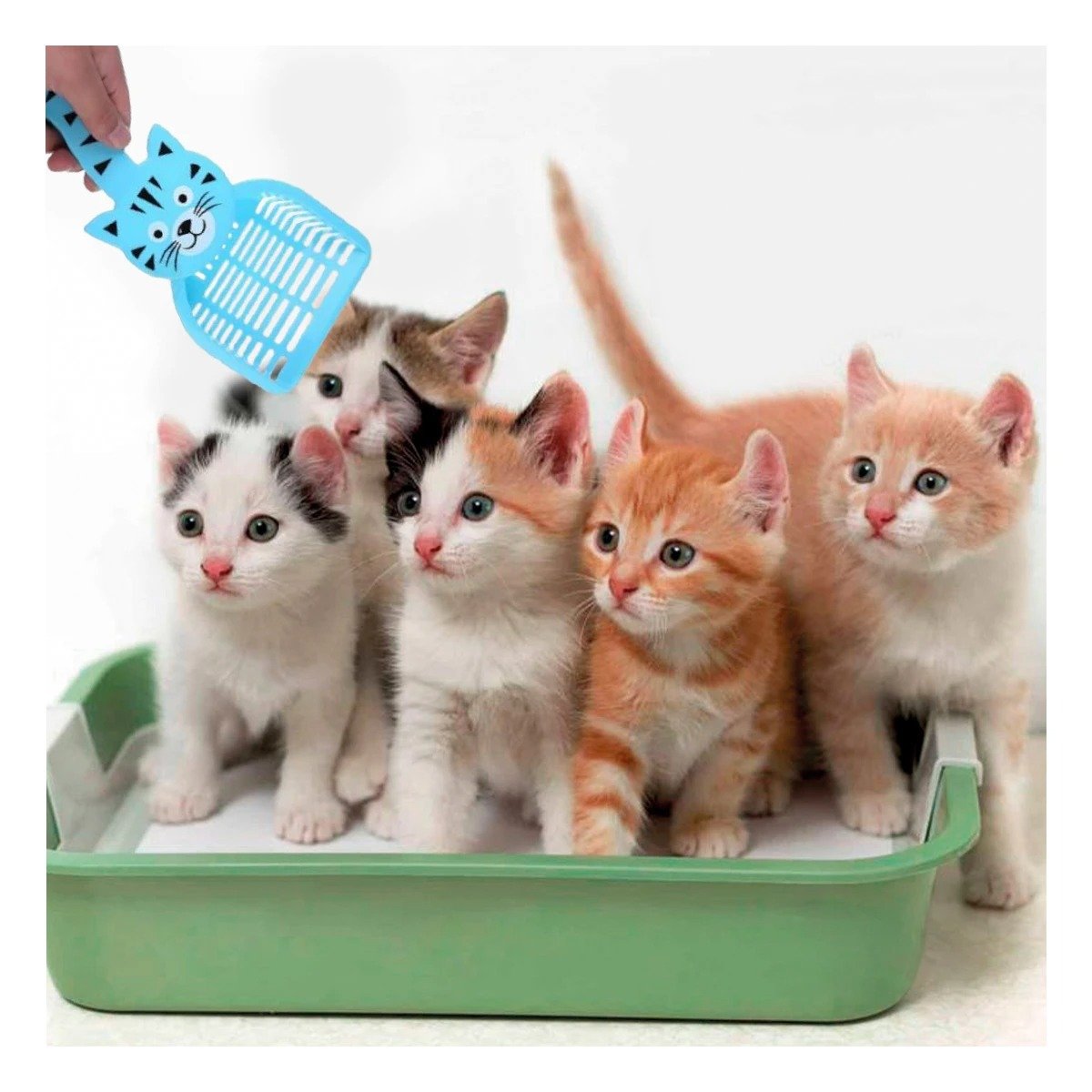 PACK2 HERRAMIENTA MULTIUSO CARA DE GATO AZUL PARA HOGAR Y LIMPIEZA FESTIVA - 3