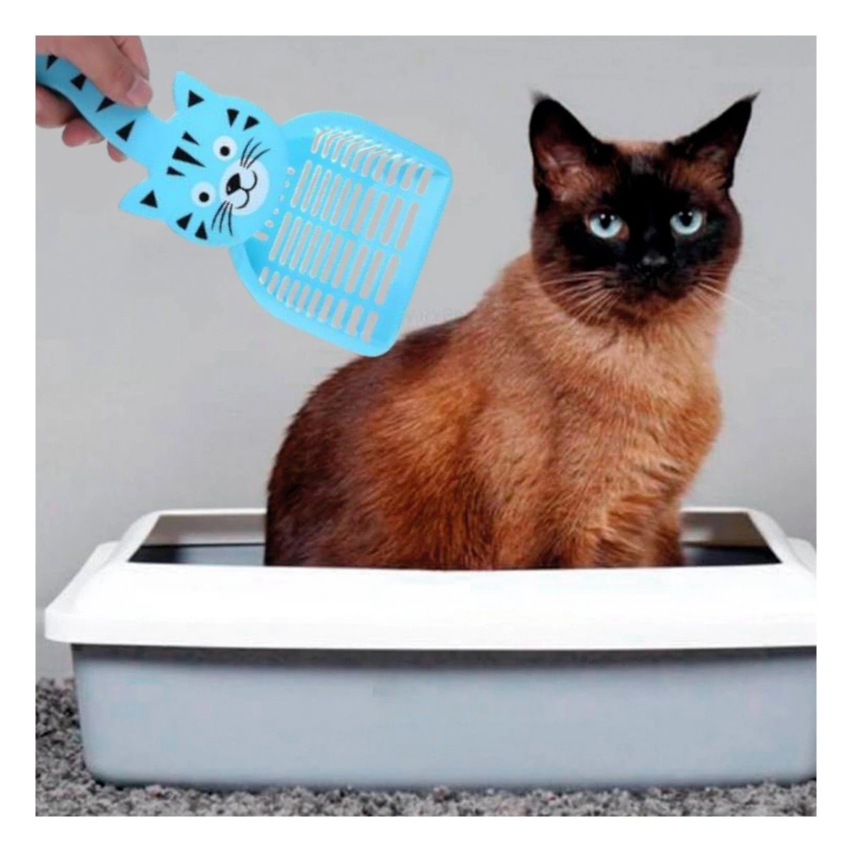 PACK2 HERRAMIENTA COMPACTA CARA DE GATO AZUL PARA LIMPIEZA Y HOGAR FESTIVO Y+REGALO STICKER - 3