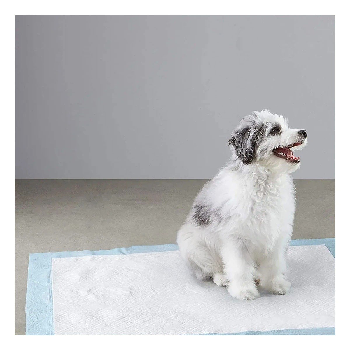 PACK2 PROPUESTA DE PISO 60X60 TALLA L CELESTE PARA MASCOTAS USO DIARIO EN CASA Y+REGALO STICKER - 5