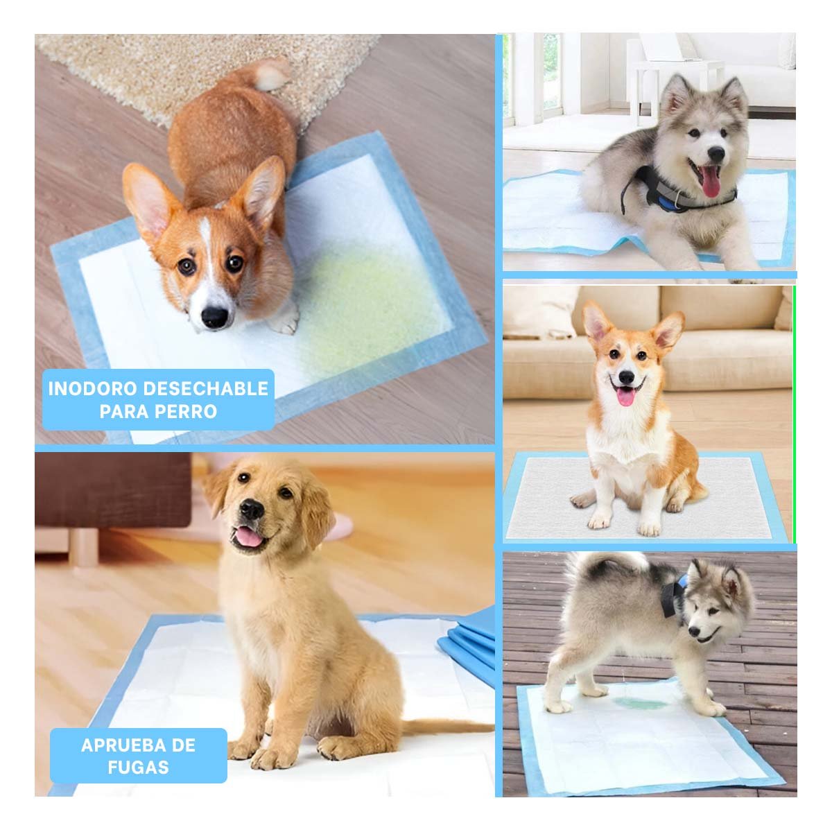 PACK4 EQUIPO DE PISO 45X60 TALLA M PARA PERROS INTERIOR DEL HOGAR PRACTICO Y+REGALO STICKER - 2