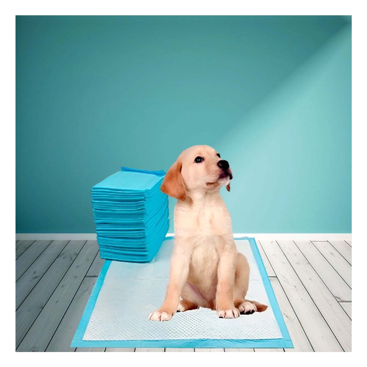 PACK4 EQUIPO DE PISO 45X60 TALLA M PARA PERROS INTERIOR DEL HOGAR PRACTICO Y+REGALO STICKER - 5