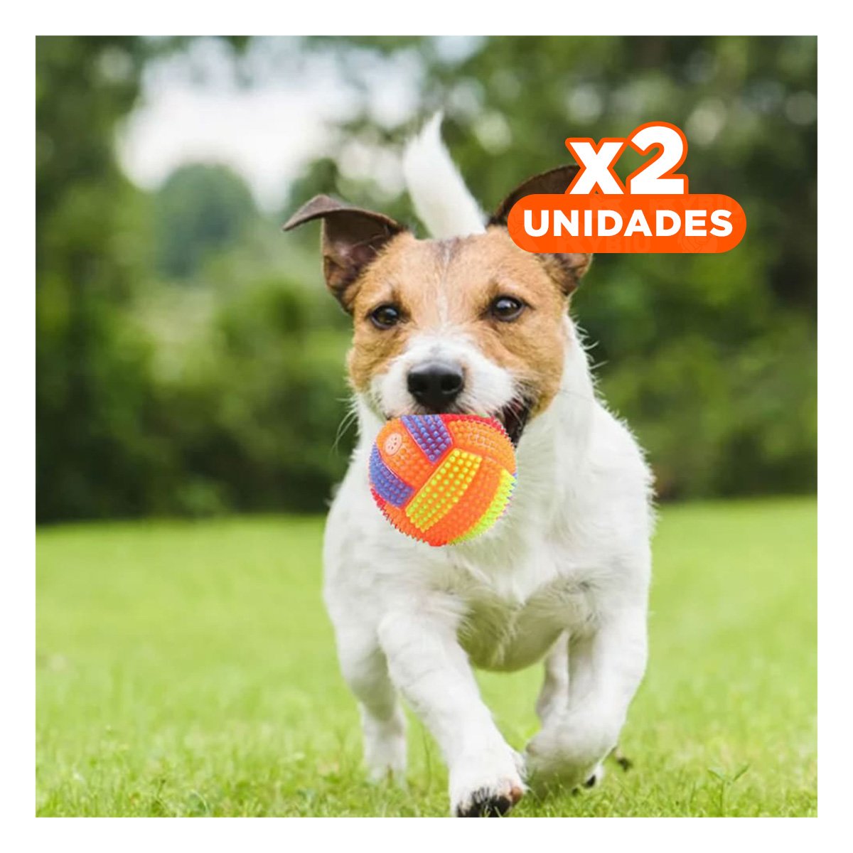 PACK2 JUGUETE QUE INCENTIVA LA DIVERSION DE MASCOTAS EN CASA NARANJA Y+REGALO STICKER - 1