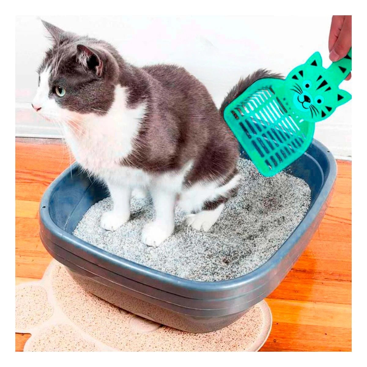 PACK4 UTENSILIO CARA DE GATO VERDE PARA JARDIN Y DECORACION NAVIDAD CASA Y+PAPEL REGALO - 5