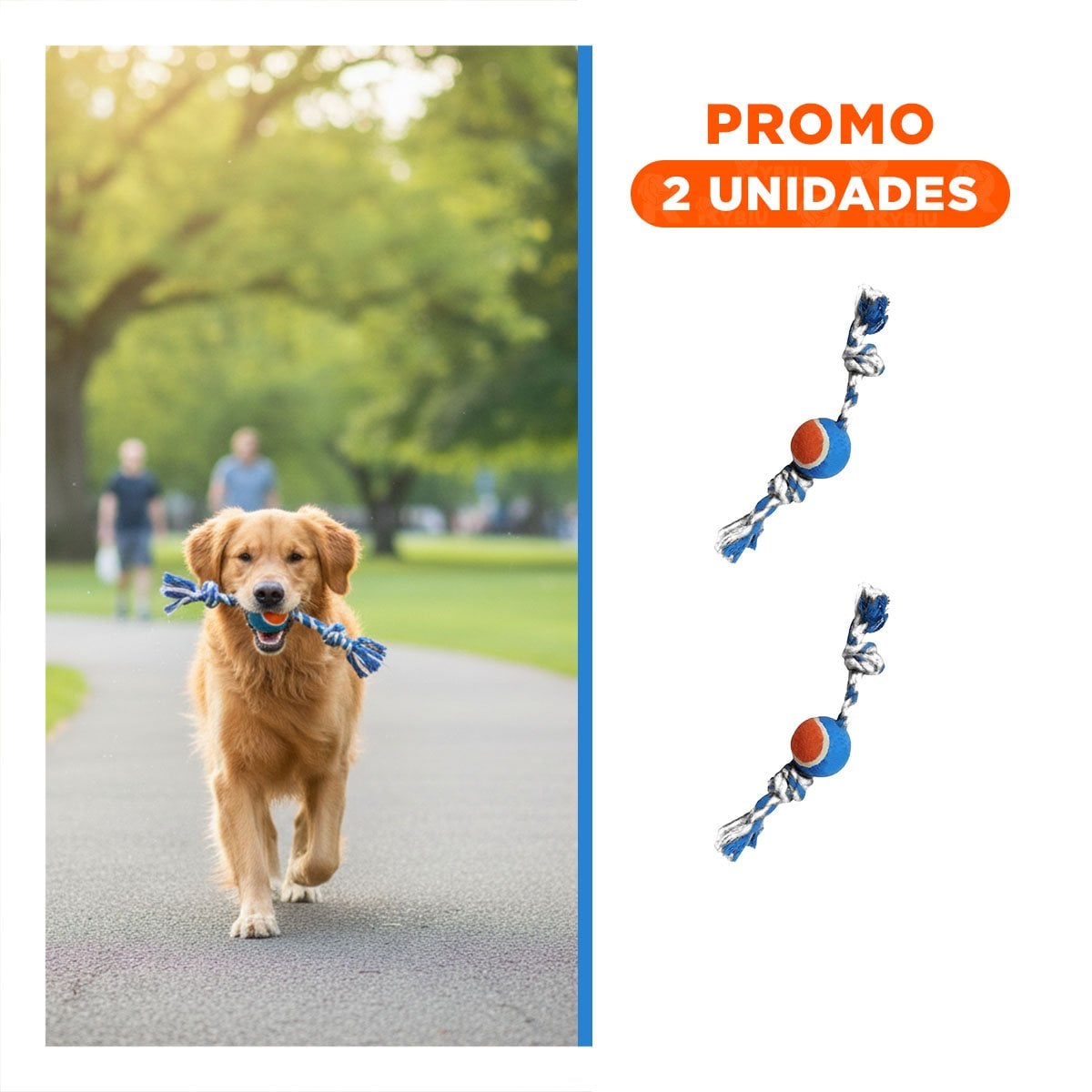PACK2 PELOTA CON SOGA QUE INCENTIVA ACTIVIDAD CELESTE Y NARANJA - 1
