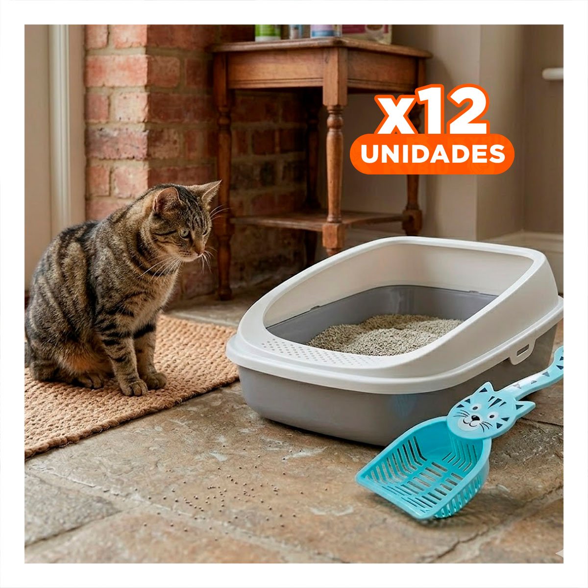 PACK12 CUCHARON PORTATIL CARA DE GATO AZUL PARA JARDIN Y HOGAR FESTIVA - 1