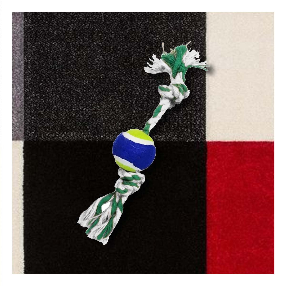 PACK6 EQUIPO PARA MASCOTAS QUE FACILITA JUEGO Y REFLEJOS AZUL Y VERDE Y+REGALO STICKER - 3