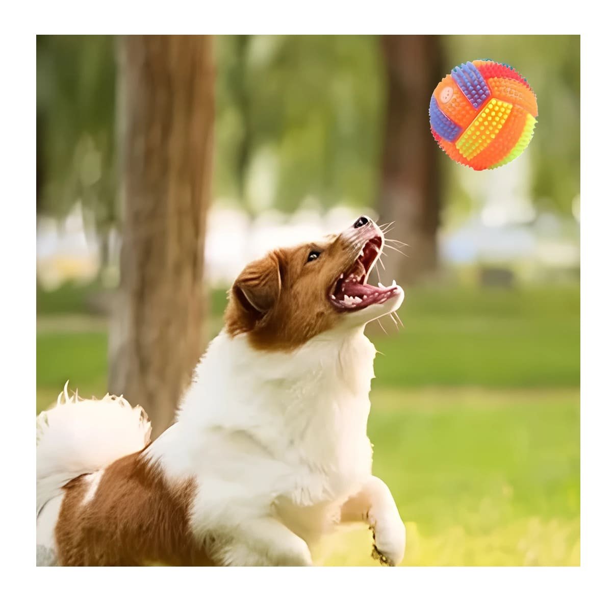 PACK6 ELEMENTO CON LUCES Y SONIDO QUE MANTIENE ACTIVAS A MASCOTAS NARANJA Y+PAPEL REGALO - 2