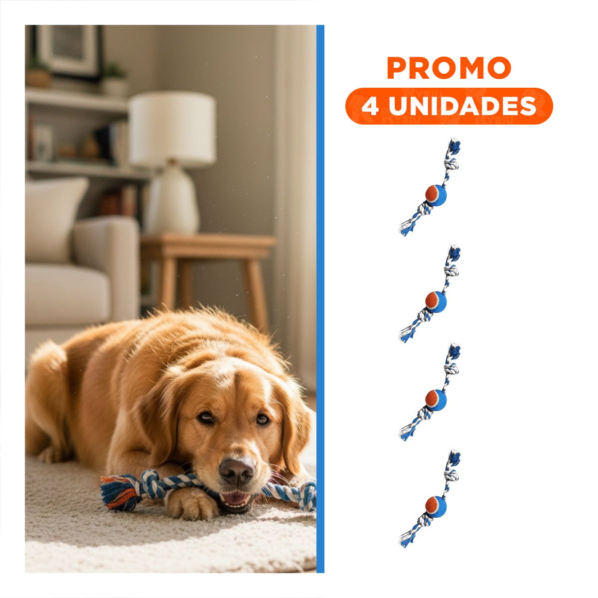 PACK4 IMPLEMENTO PARA MASCOTAS QUE MANTIENE ACTIVO CELESTE Y NARANJA Y+REGALO STICKER - 1