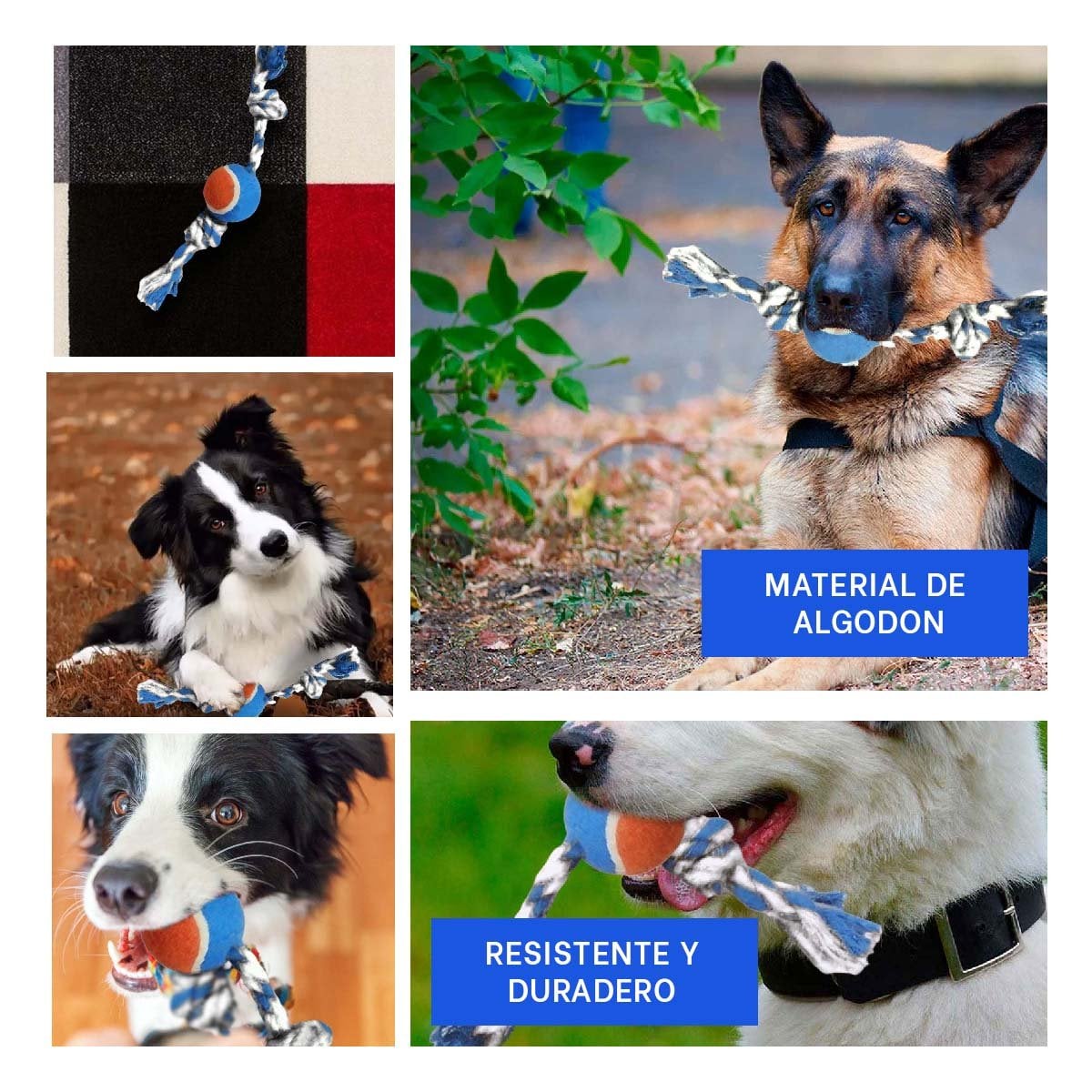 PACK4 IMPLEMENTO PARA MASCOTAS QUE MANTIENE ACTIVO CELESTE Y NARANJA Y+REGALO STICKER - 2