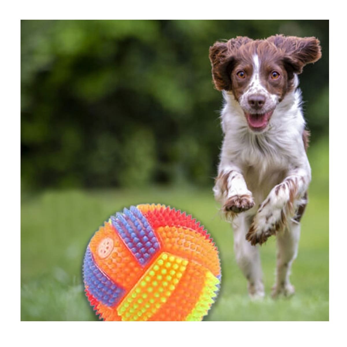 PACK4 JUGUETE QUE BRILLA DURANTE EL JUEGO DE GATOS Y PERROS NARANJA Y+PAPEL REGALO - 2