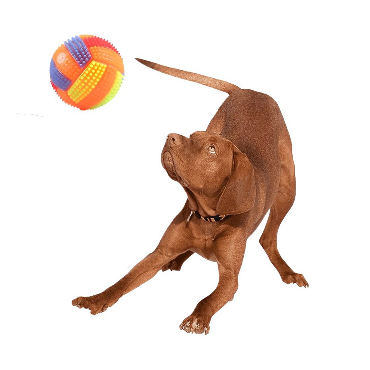 PACK4 JUGUETE QUE BRILLA DURANTE EL JUEGO DE GATOS Y PERROS NARANJA Y+PAPEL REGALO - 3
