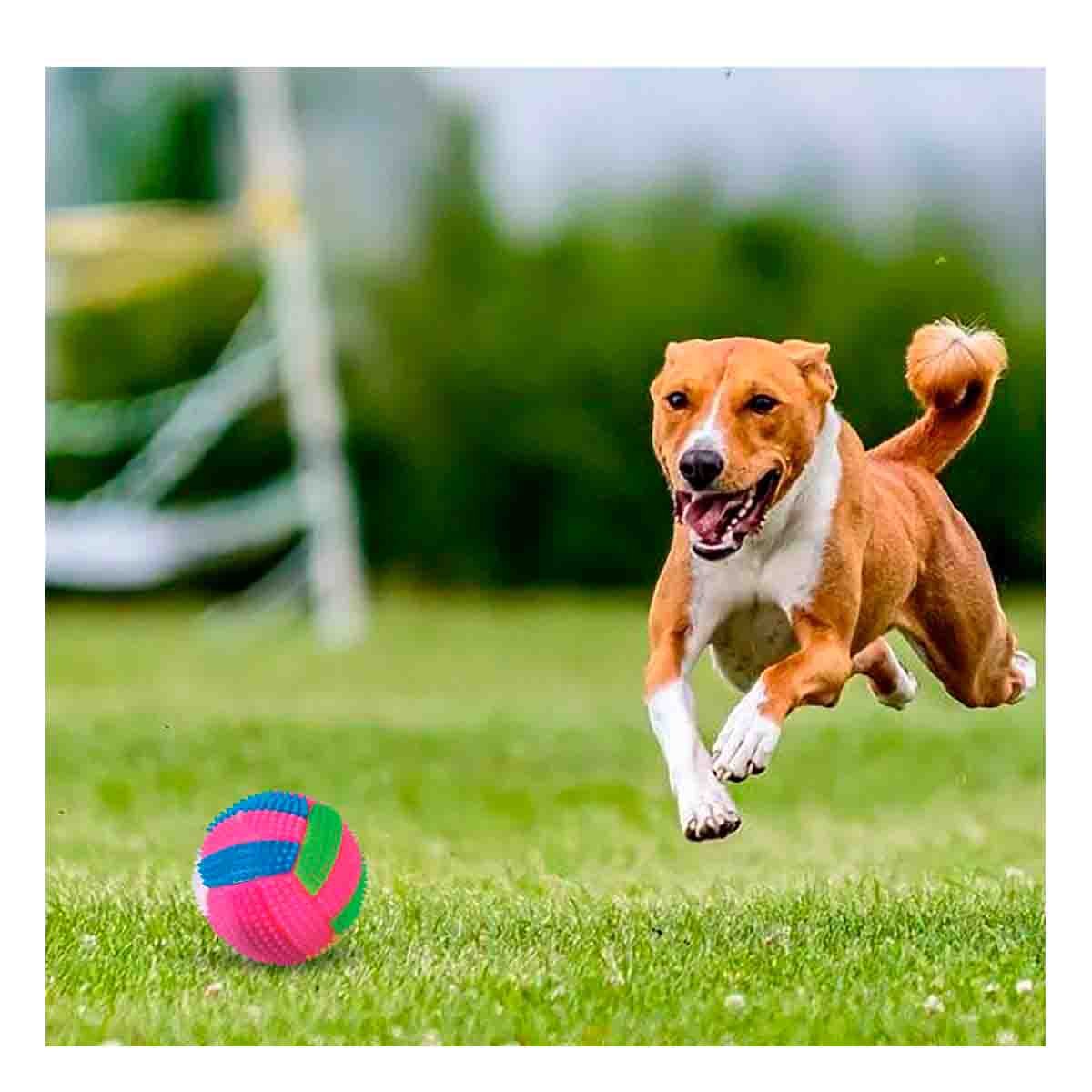 PACK2 JUGUETE DE DIVERSION PARA MANTENER ACTIVA A MASCOTAS ROSADO Y+REGALO STICKER - 5