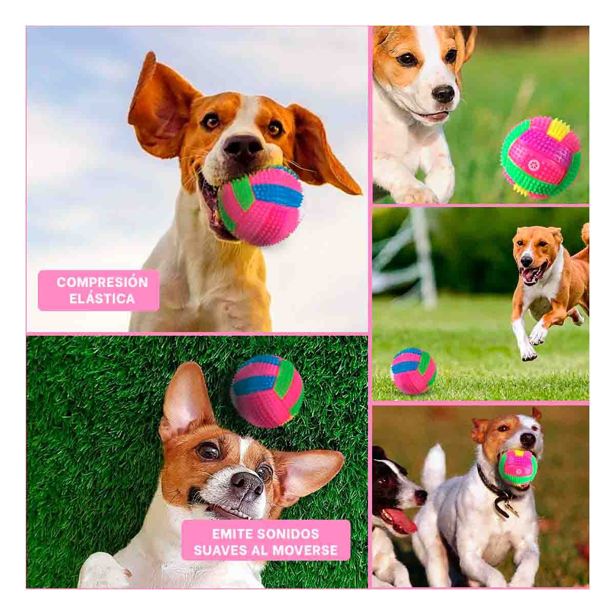 PACK4 ARTICULO PARA PERROS CON RAYAS MULTICOLOR Y LUZ CON SONIDO ROSADO Y+REGALO STICKER - 2