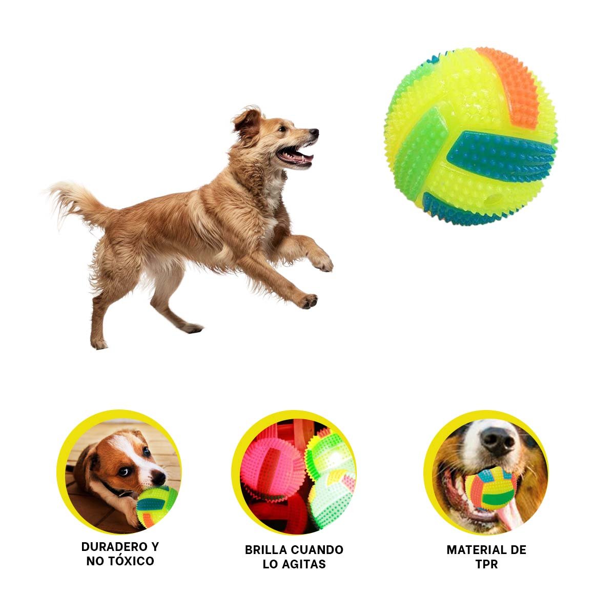 PACK6 ELEMENTO LUMINOSO CON EFECTOS DE SONIDO PARA MASCOTAS AMARILLO Y+REGALO STICKER - 2