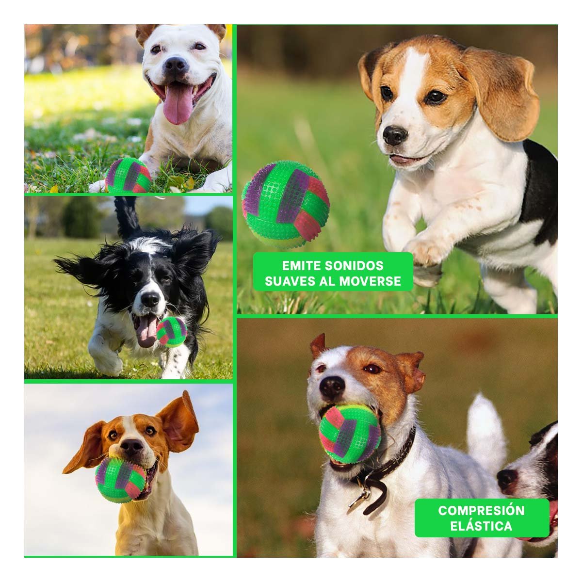 PACK2 ACCESORIO DE JUEGO PARA MASCOTAS CON ILUMINACION LED VERDE Y+PAPEL REGALO - 3