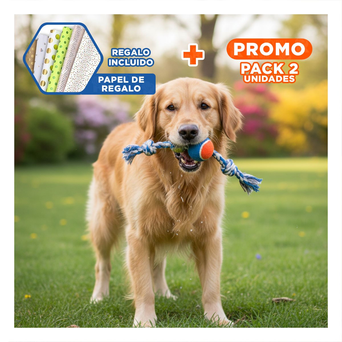 PACK2 PELOTA INTERACTIVA PARA MASCOTAS QUE MEJORA MANDIBULA CELESTE Y NARANJA Y+PAPEL REGALO - 1