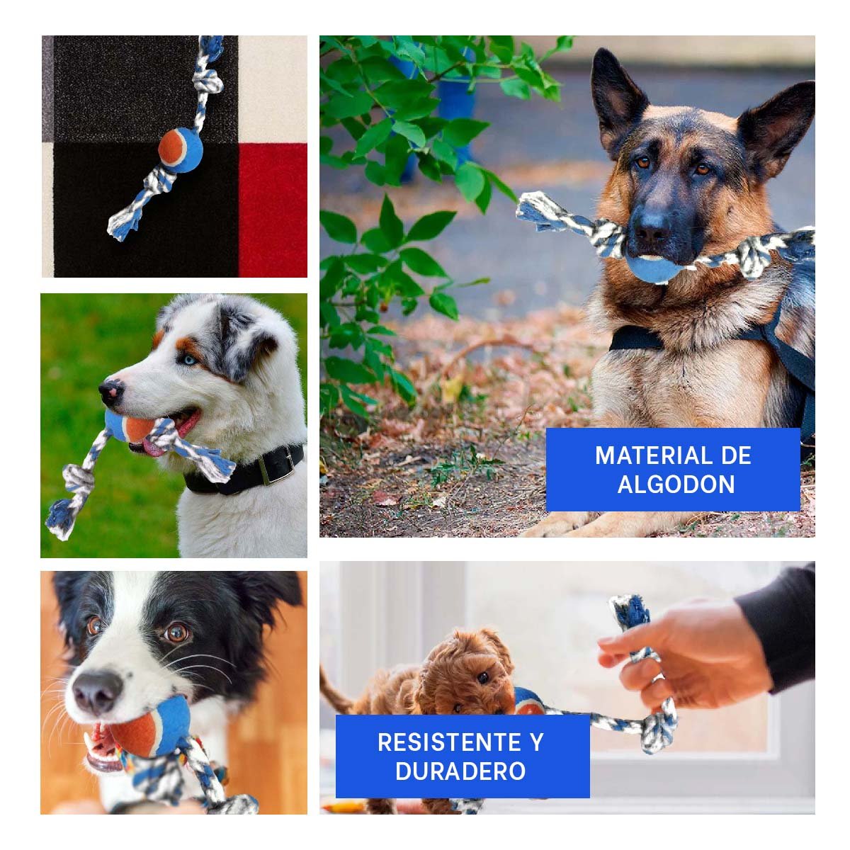 PACK2 PELOTA INTERACTIVA PARA MASCOTAS QUE MEJORA MANDIBULA CELESTE Y NARANJA Y+PAPEL REGALO - 3
