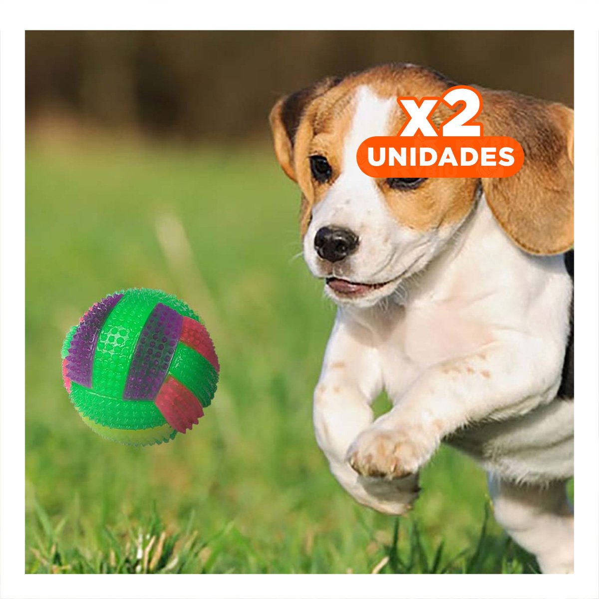 PACK2 ACCESORIO INTERACTIVO PARA PERROS CON AUDIO INCORPORADO VERDE Y+REGALO STICKER - 1