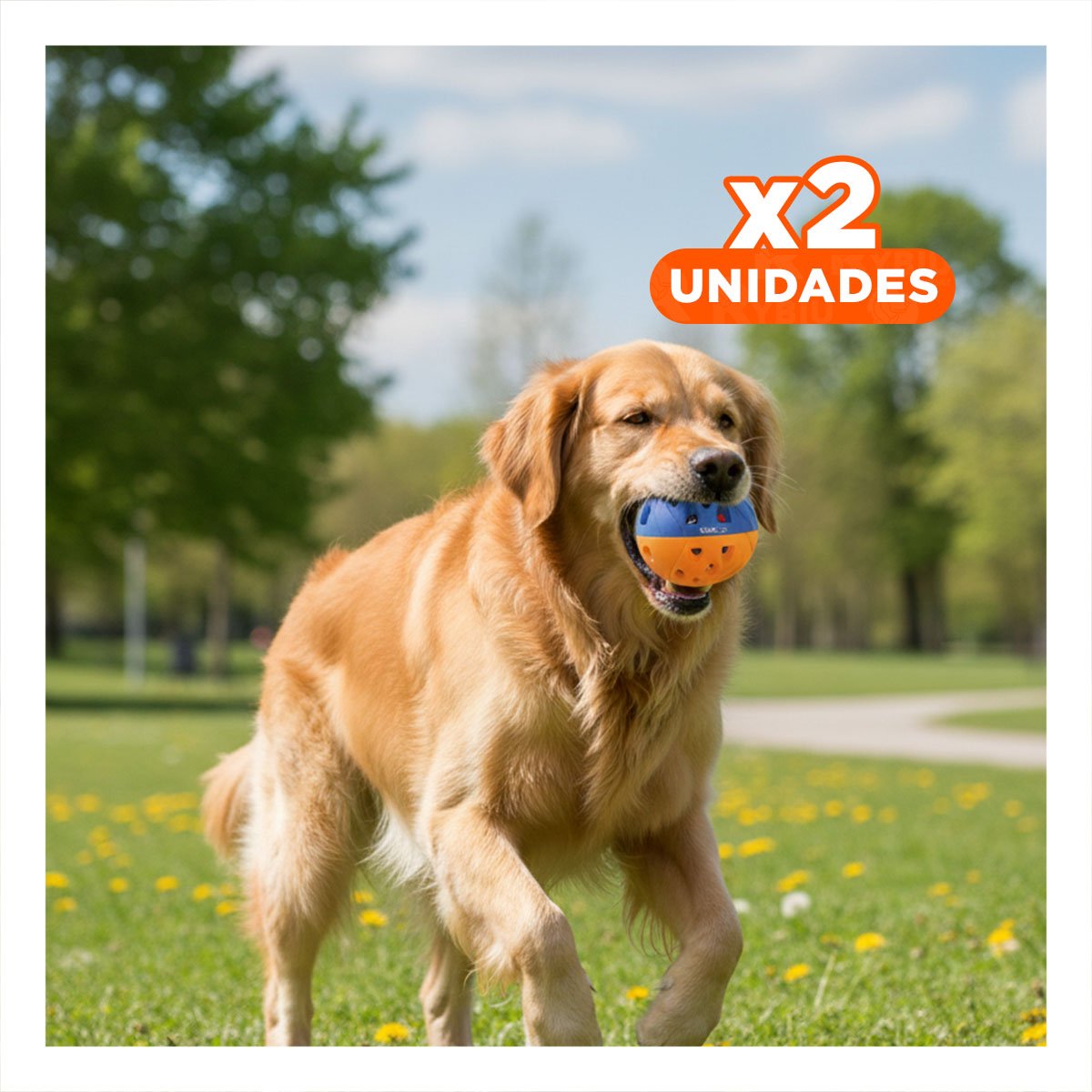 PACK2 PRODUCTO CON CASCABEL PARA GATOS Y PERROS ACTIVOS AZUL Y AMARILLO - 1