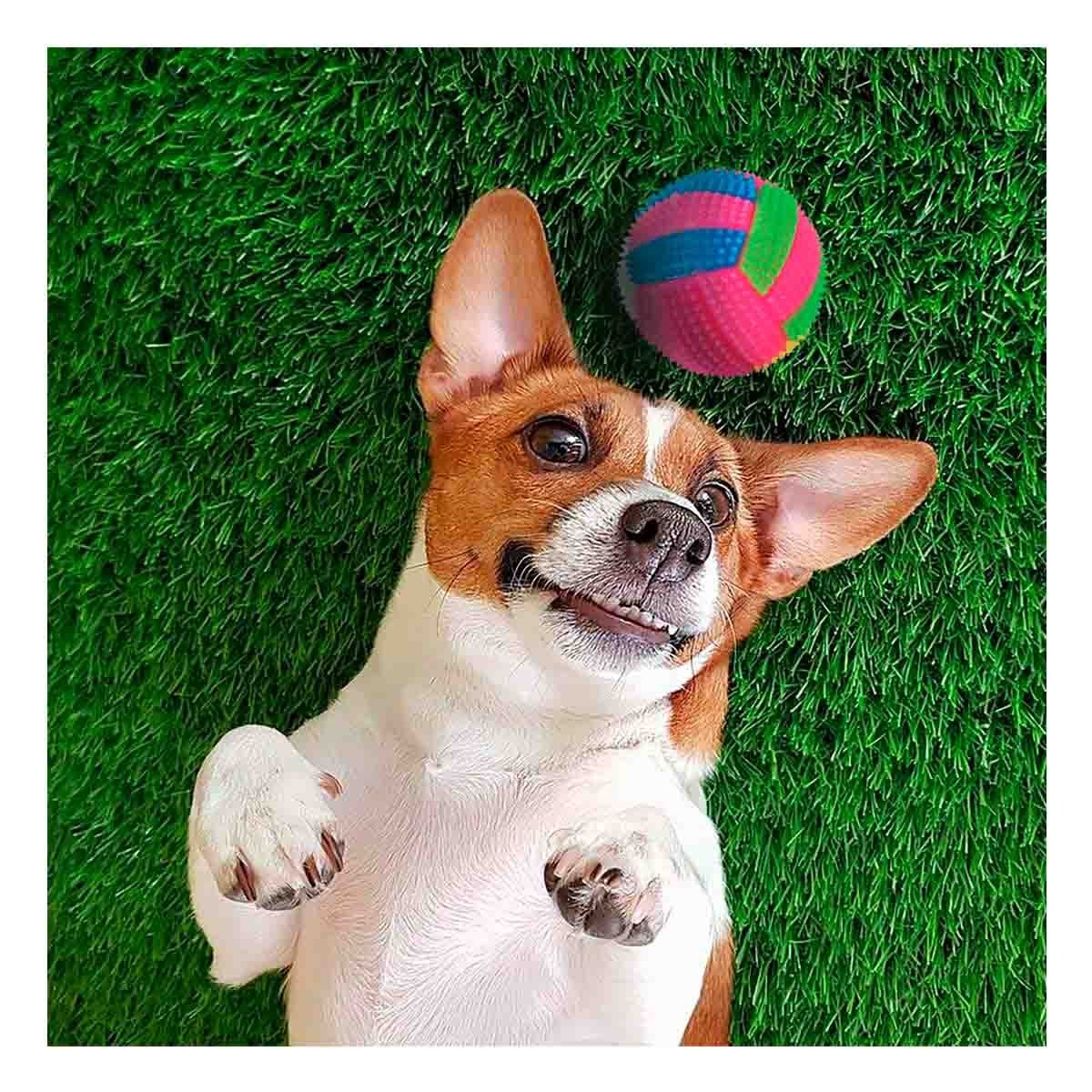 PACK2 JUGUETE INTERACTIVO CON LUCES Y SONIDO PARA PERROS Y GATOS ROSADO Y+PAPEL REGALO - 2
