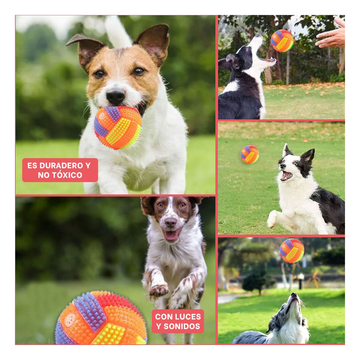 PACK4 ELEMENTO PARA JUEGOS DE MASCOTAS CON SONIDO Y RAYAS NARANJA Y+REGALO STICKER - 2
