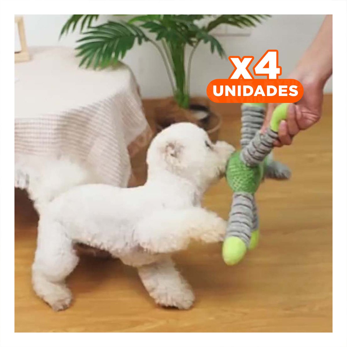 PACK4 AMIGO PARA MASCOTAS ELEFANTE VERDE - 1