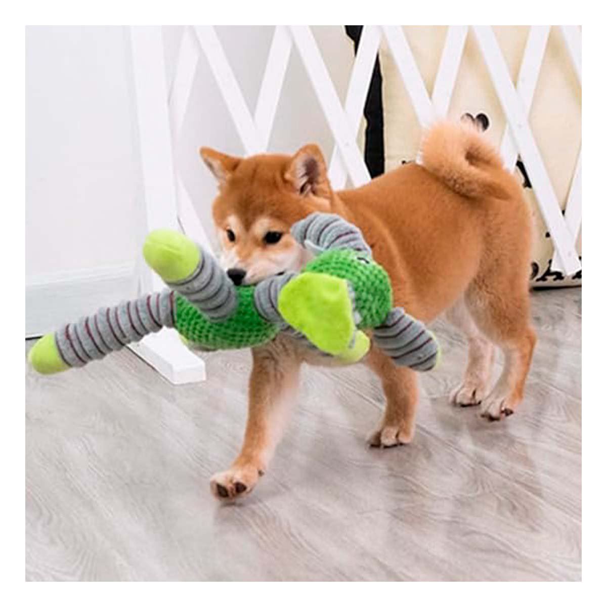 PACK4 AMIGO PARA MASCOTAS ELEFANTE VERDE - 2
