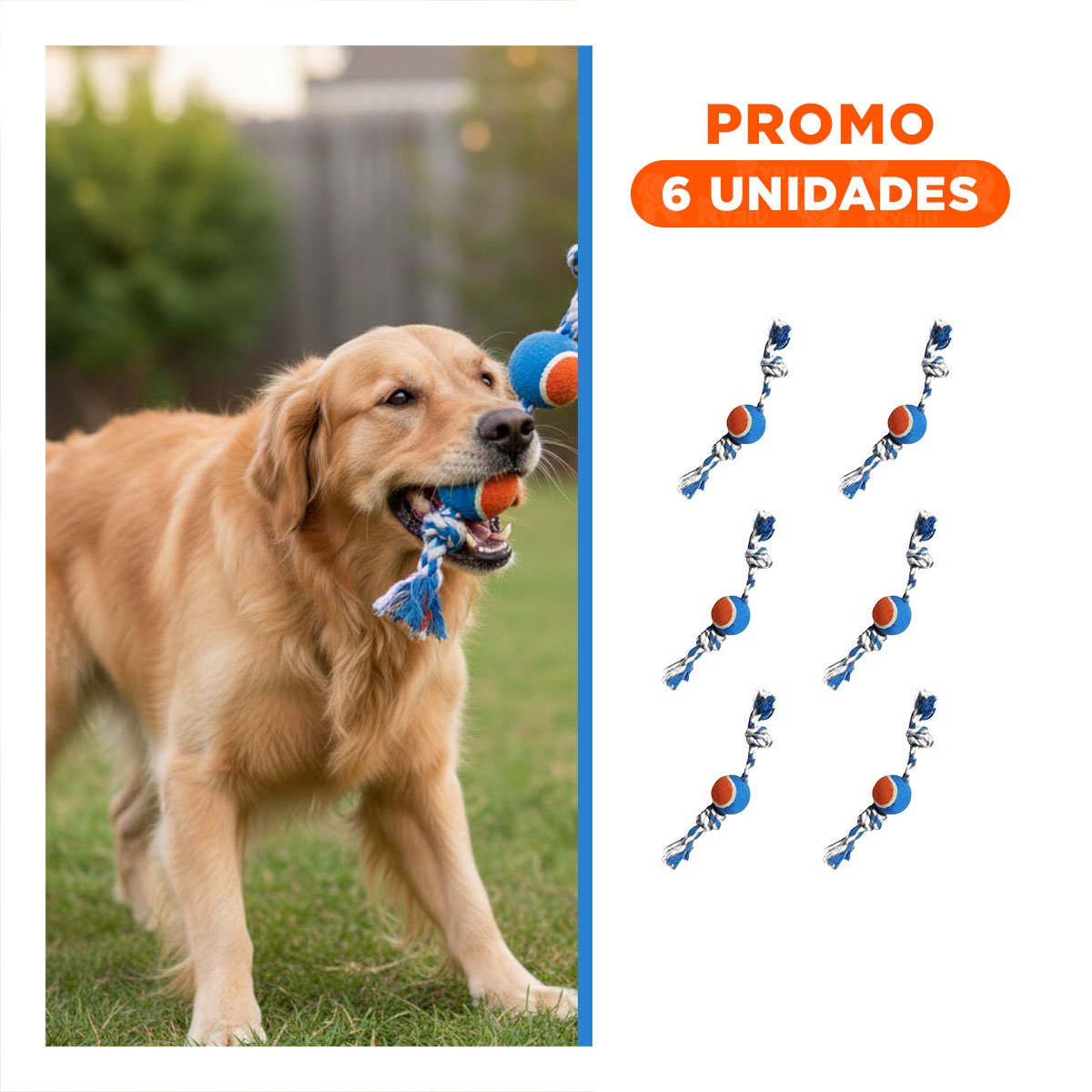 PACK6 IMPLEMENTO CON PELOTA QUE ESTIMULA MANDIBULA Y REFLEJOS CELESTE Y NARANJA - 1