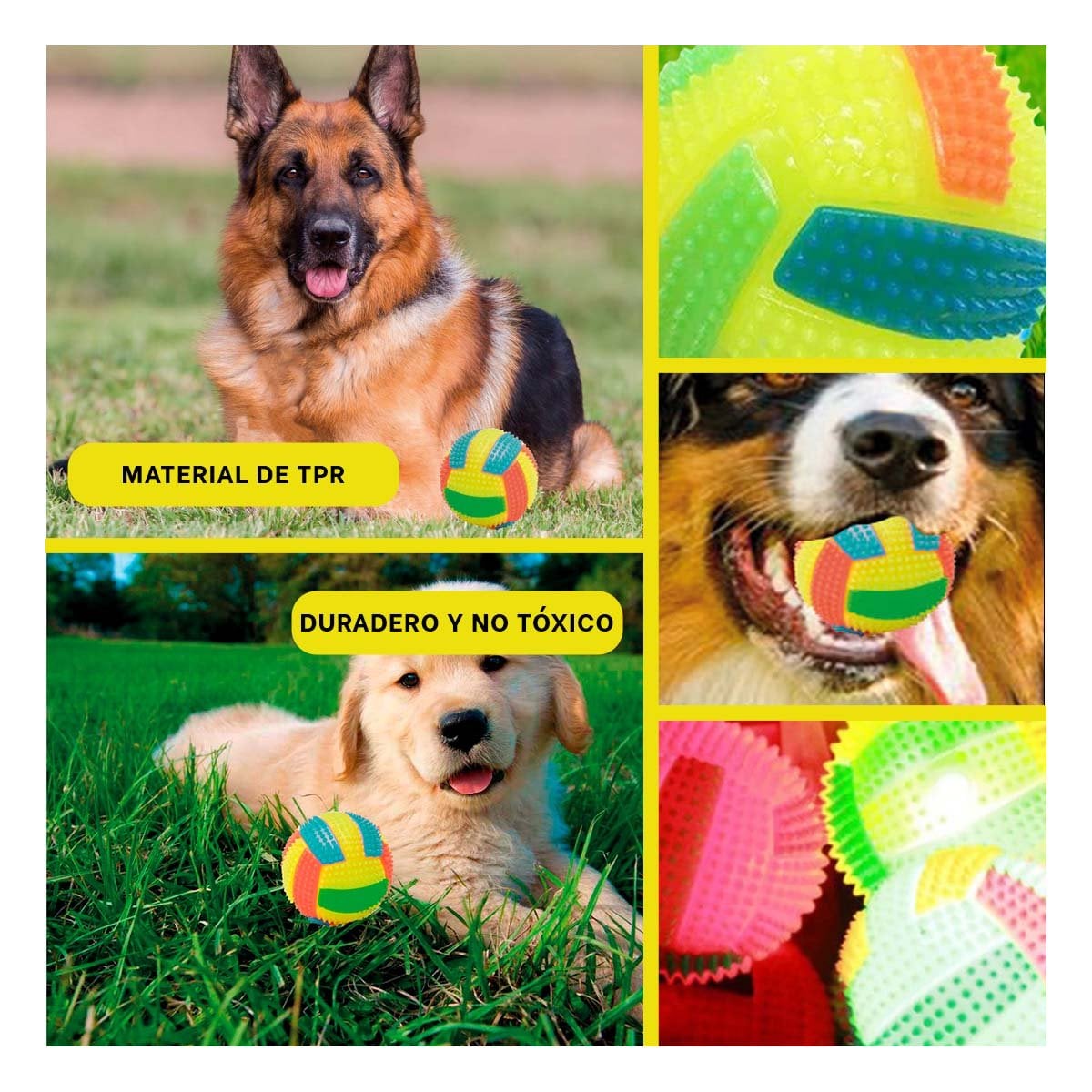 PACK4 ELEMENTO CON LUCES Y SONIDO QUE ESTIMULA EL JUEGO EN MASCOTAS AMARILLO Y+REGALO STICKER - 2