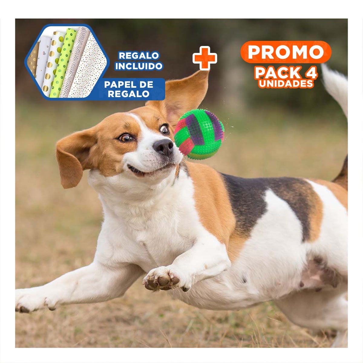 PACK4 ACCESORIO RESISTENTE PARA ACTIVIDAD FISICA CANINA VERDE Y+PAPEL REGALO - 1