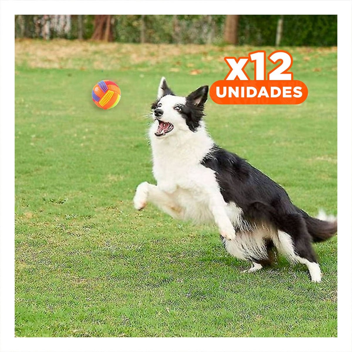 PACK12 ELEMENTO PARA ESTIMULAR EL JUEGO Y MOVIMIENTO DE MASCOTAS NARANJA - 1