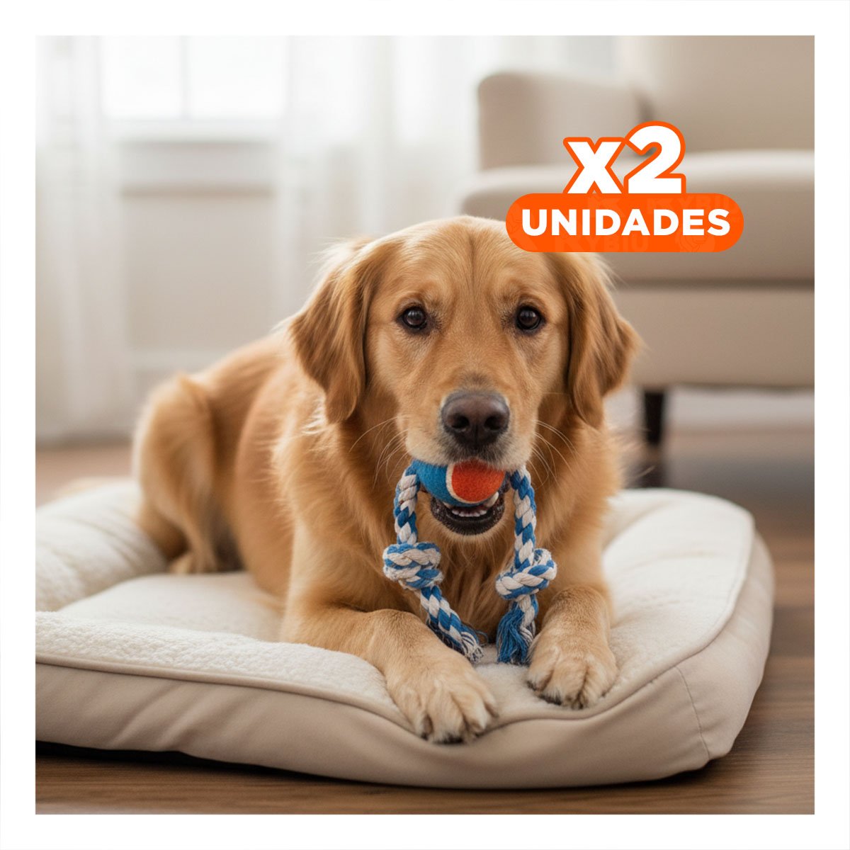 PACK2 PELOTA QUE MANTIENE ACTIVA A TU MASCOTA CELESTE Y NARANJA Y+REGALO STICKER - 1