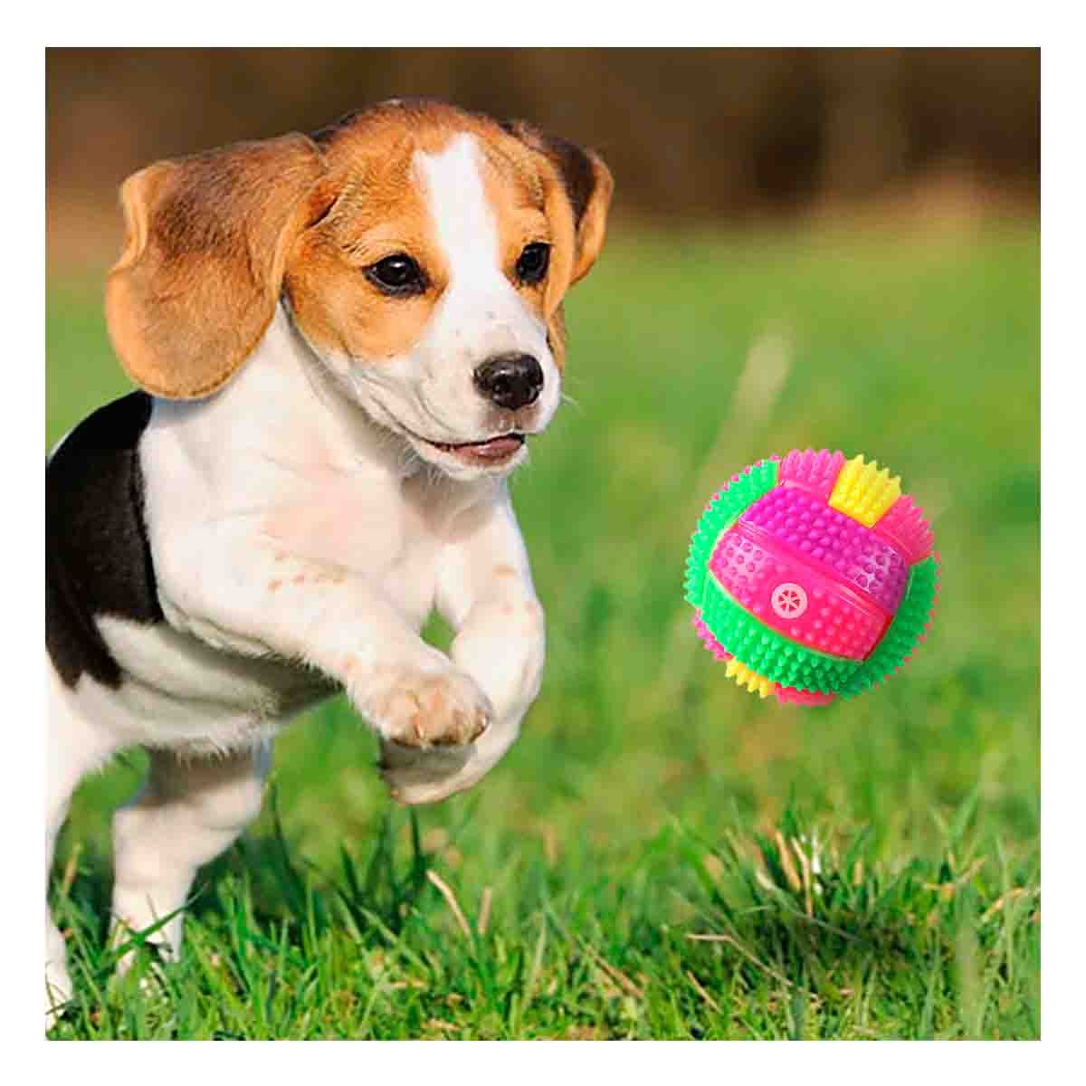PACK6 ARTICULO CANINO INTERACTIVO CON ILUMINACION Y AUDIO ROSADO - 2