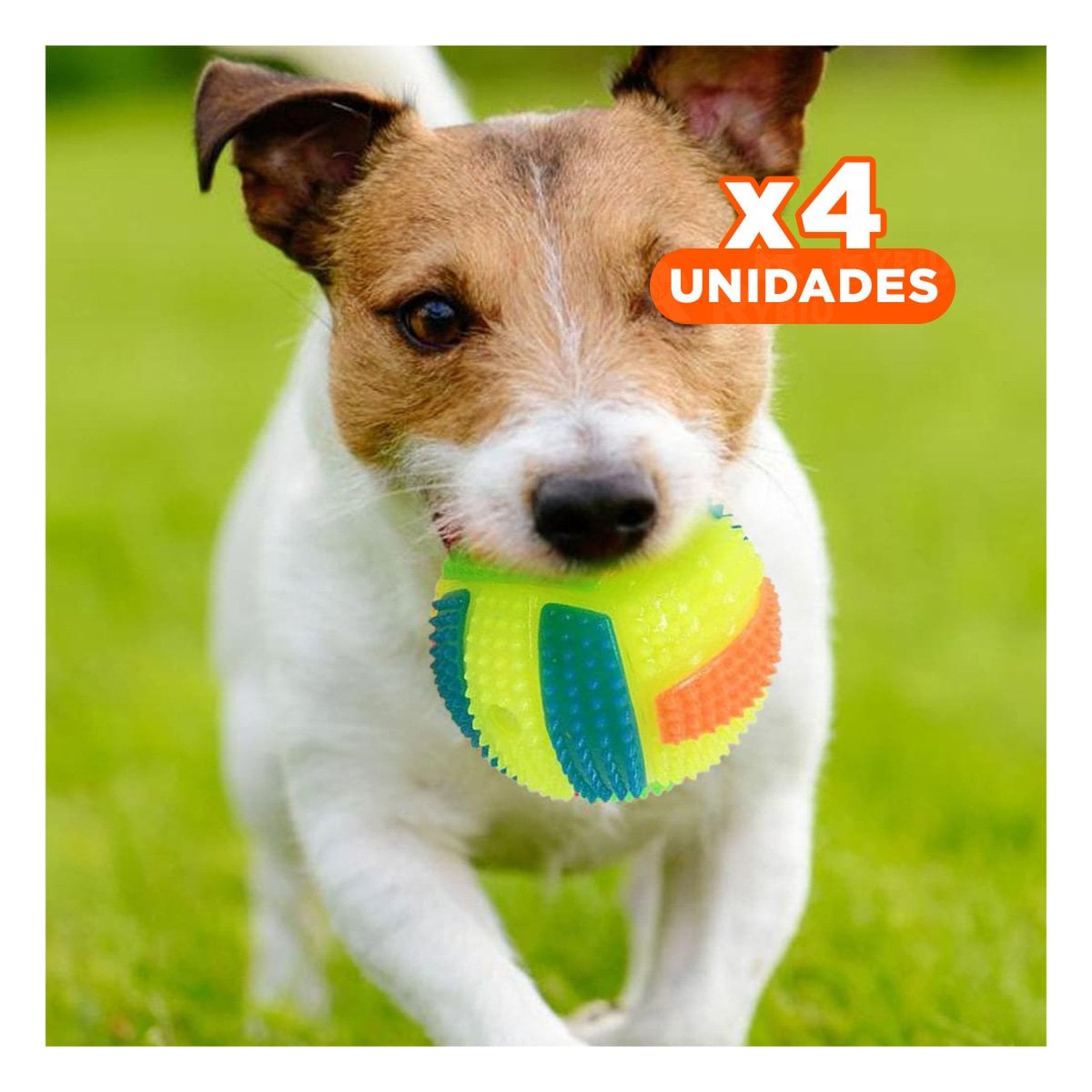 PACK4 JUGUETE DIVERTIDO CON LUZ Y SONIDO QUE MANTIENE A TU MASCOTA FELIZ AMARILLO - 1