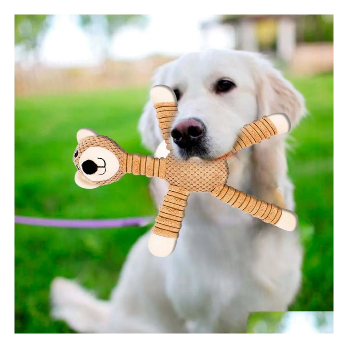 PACK6 TIERNO PARA MASCOTAS EN FORMA DE OSO CON SONIDO MOSTAZA Y+PAPEL REGALO - 5