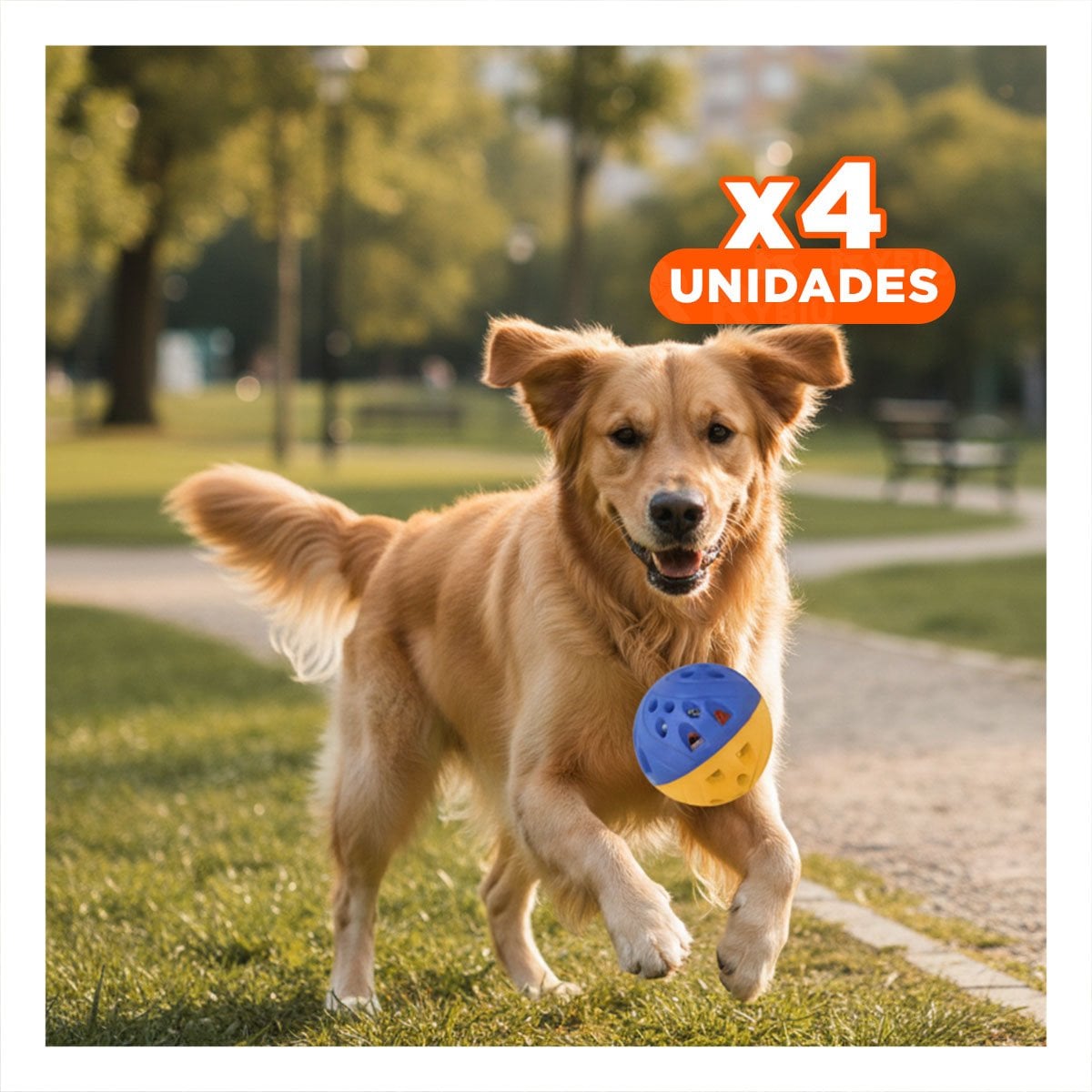 PACK4 PRODUCTO QUE MOTIVA DIVERSION Y MOVIMIENTO DE MASCOTAS AZUL Y AMARILLO - 1