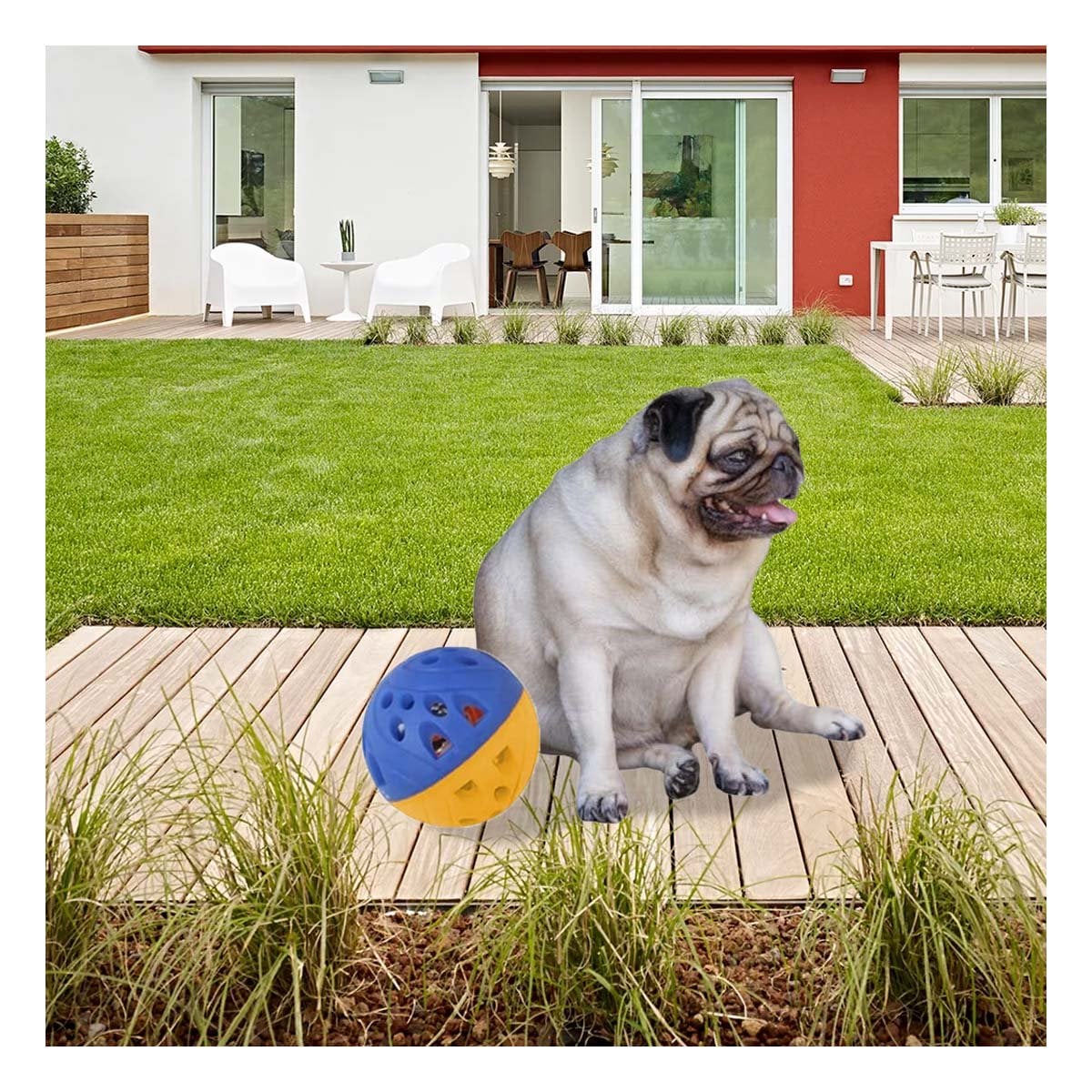 PACK4 PRODUCTO QUE MOTIVA DIVERSION Y MOVIMIENTO DE MASCOTAS AZUL Y AMARILLO - 3