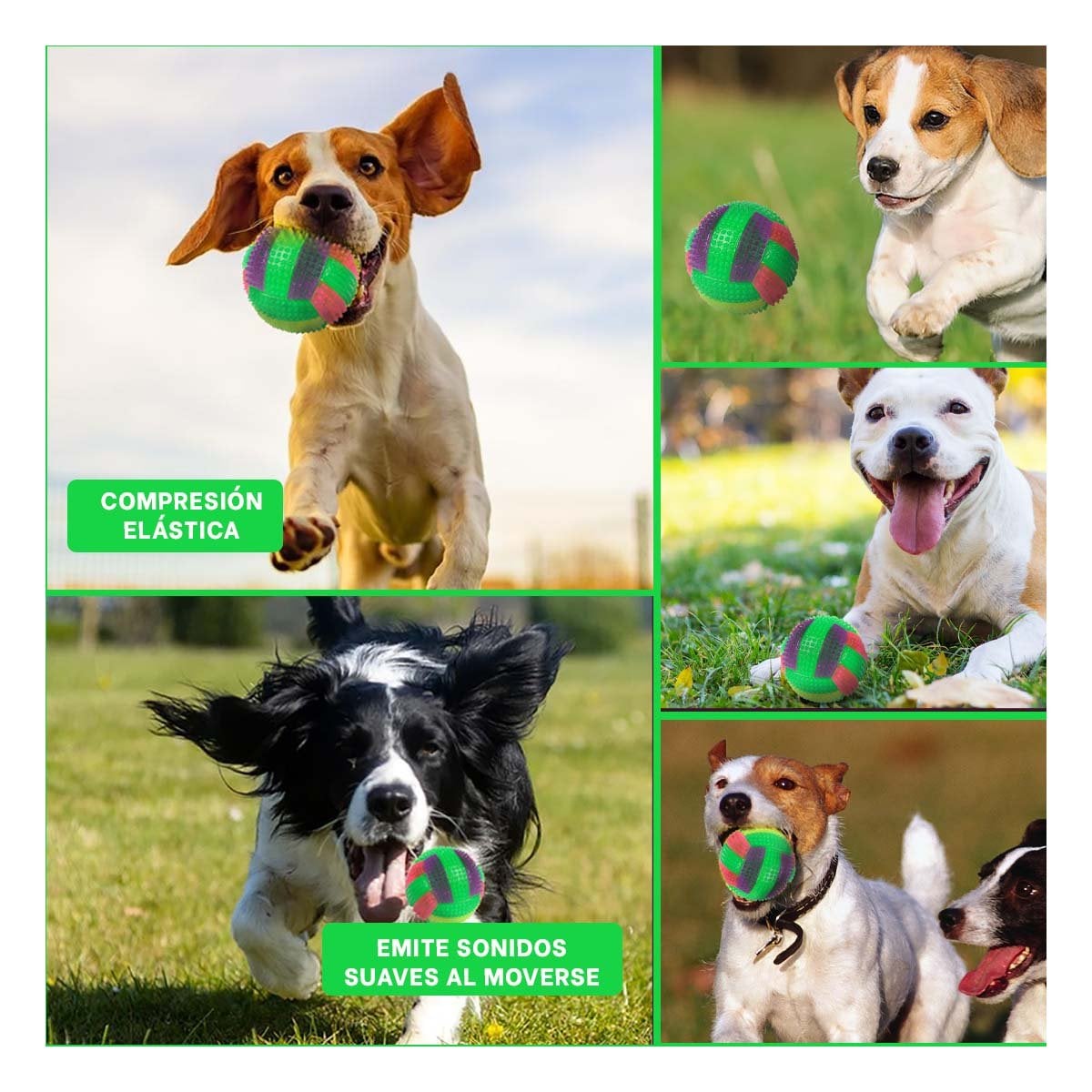 PACK4 ARTICULO PARA PERROS CON EFECTO LUMINOSO Y SONIDO VERDE Y+REGALO STICKER - 2