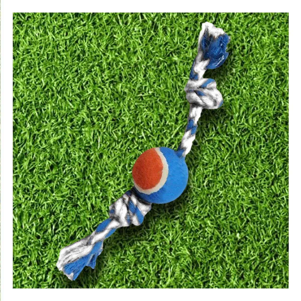 PACK4 PELOTA CON LAZO QUE FOMENTA JUEGO Y ENERGIA CELESTE Y NARANJA Y+PAPEL REGALO - 5