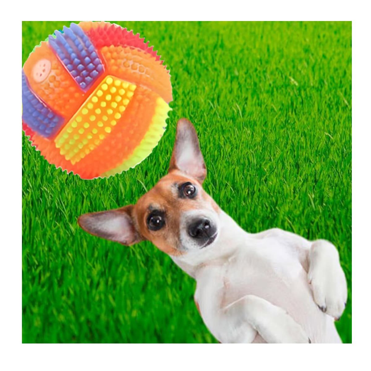 PACK4 JUGUETE CON SONIDO Y LUCES PARA MANTENER ACTIVAS A MASCOTAS NARANJA - 5